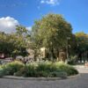 Les secrets du quartier Mouffetard – Image 4