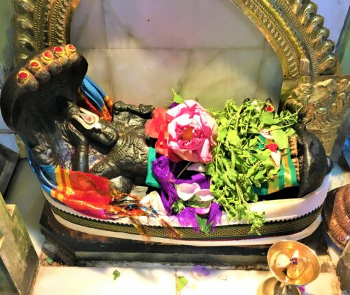 L’Inde à Paris – Visite des temples hindous – Image 3