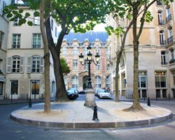 saint germain