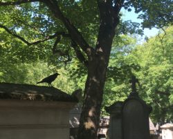 corneille au Père Lachaise