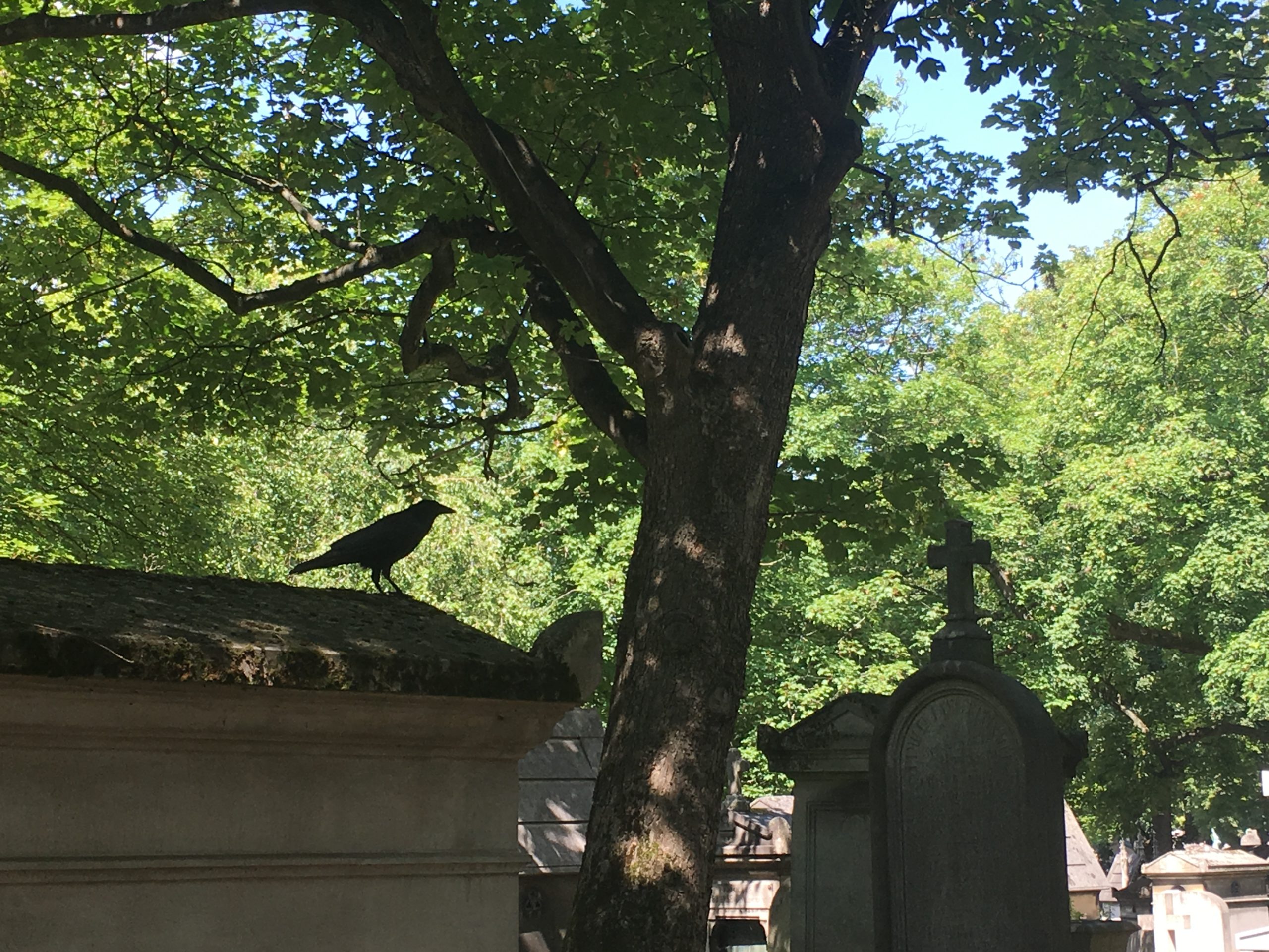 corneille au Père Lachaise